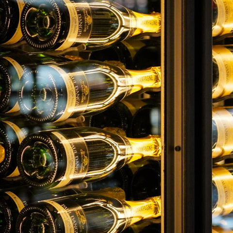 Dunavox Sera - 143 Champagne Koelkast | DX - 143.468SS | 1 Zone - Luxury Taste